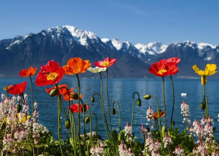 In Valais Near Lift & Valley *