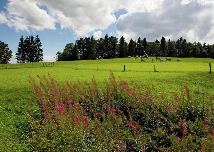 Dağ evi In Valais Near Lift & Valley Saas-Balen