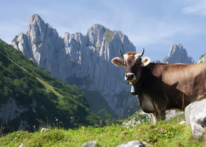 In Valais Near Lift & Valley Dağ evi