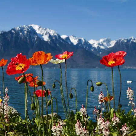 In Valais Near Lift & Valley *