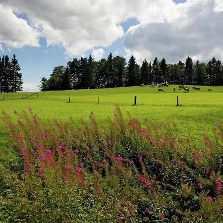 Chalet In Valais Near Lift & Valley Saas-Balen