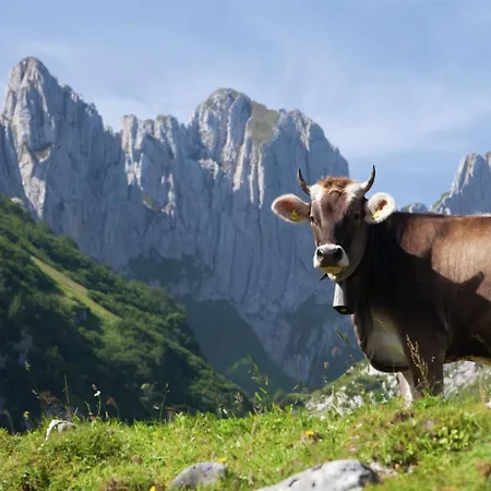 In Valais Near Lift & Valley Chalet