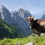 In Valais Near Lift & Valley Σαλέ